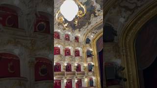 Deutsches Opernhaus Prag Shorts prague vlog opera [upl. by Ydnor]