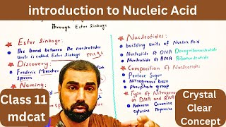 Introduction to Nucleic Acid  one shot of nucleic Acid  class 11 mdcat  in Urdu Hindi [upl. by Taveda]