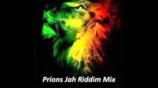 Prions Jah Riddim Mix December 2011 Roots Reggae Ragga Megamix One Riddim [upl. by Einahpad]