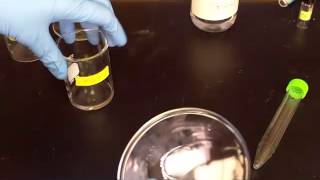 How to a capillary tube with a TLC plate [upl. by Einna998]