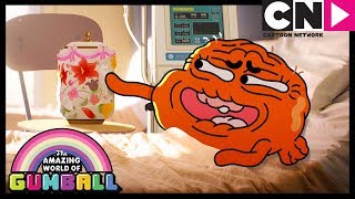 O Vaso  O Incrível Mundo de Gumball  Cartoon Network [upl. by Nonnelg]