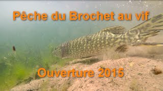 Pêche du brochet au vif  Ouverture 2015 [upl. by Eyde705]