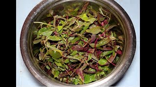 Thotakura Pappu Recipe  Healthy తోటకూర పప్పు  Amaranth Leaves Curry [upl. by Zap]