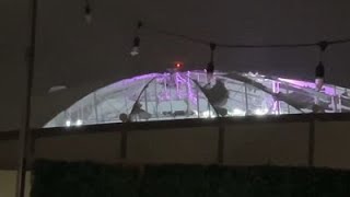 Hurricane quotMiltonquot shreds stadium roof in St Petersburg [upl. by Sandra907]