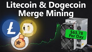 Litecoin and Dogecoin Miners Bringing Massive Profits [upl. by Midian]