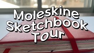 2022 Moleskine Sketchbook Tour  My 18th sketchbook [upl. by Kanya334]