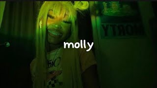 Molly  Sleepy hallow  Lyrics [upl. by Ballard]