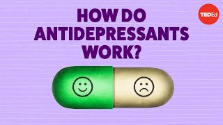 How do antidepressants work  Neil R Jeyasingam [upl. by Etnuad866]