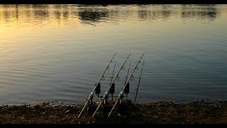 Linear Fisheries  The Number One Day Ticket Carp Water [upl. by Eelyr]