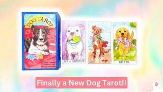 Dog Tarot Deck Unboxing 🐶🐾🐕‍🦺 [upl. by Eleanora]