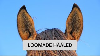 Loomade hääled [upl. by Alikee]