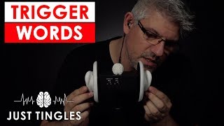 ASMR  Ear Touching  Whispered Trigger Words  Male Whispering  1 Hour [upl. by Etrem]