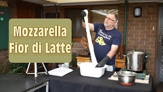 How to Make Real Mozzarella At Home [upl. by Aitnyc]