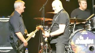 03  THE STRANGLERS  THE GOLDEN BROWN  Live concert  Colmar FRANCE  HD [upl. by Annaliese193]