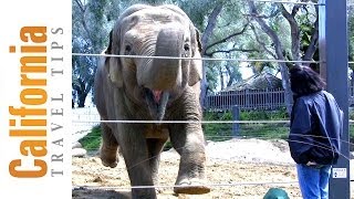 Santa Barbara Zoo Travel Guide  Things to Do in Santa Barbara  California Travel Tips [upl. by Arikal639]