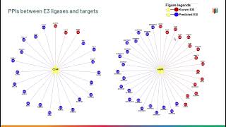 Unlocking New E3 Ligases for Targeted Protein Degradation in Cancer Therapy [upl. by Tortosa]