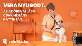 Vera nyugodt Az adóbevallása csak néhány kattintás  Számlázzhu [upl. by Arnelle]