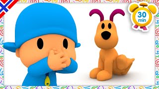 Tegnefilmer om Dyr for Barn  Skitten Hund  POCOYO på Norsk  Tegnefilmer for barn [upl. by Avika]