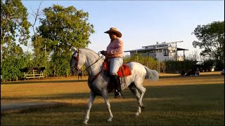 TV CABALLOS SANTO DOMINGO DE SÁMARA 2024 [upl. by Isiahi]