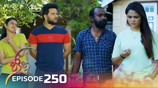 Jaanu  Episode 250  20240208  ITN [upl. by Gibby]