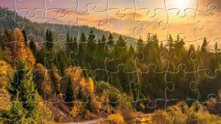 Pine Forest 64 Piece Jigsaw Puzzle HDjigsaw puzzle HD [upl. by Ttenyl147]