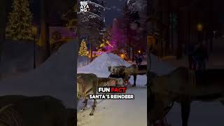 5 MindBlowing Facts About Santa’s Reindeer You Won’t Believe 🎅 shorts [upl. by Nosreme]