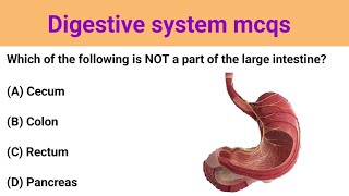 Know about Digestive System II Important MCQs multiple choice questions with answer in hindi [upl. by Onidranreb299]