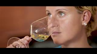 Explore Wines of Germany  Trailer [upl. by Aserret]