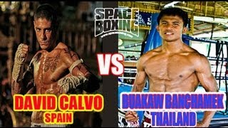 Buakaw vs David Calvo 2013 [upl. by Malliw]