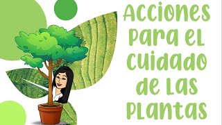 ACCIONES PARA EL CUIDADO DE LAS PLANTAS [upl. by Lrigybab]