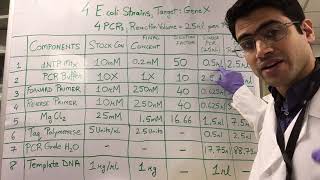 How To PCR Calculations [upl. by Rimidalb]