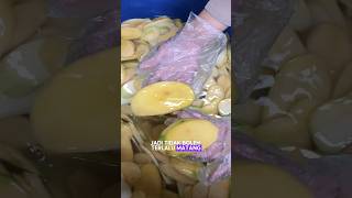 INTIPP‼️ PROSES BUAT KRIPIK MANGGA🥭‼️REMAJA SUKSES OMSET JUTAAN HARI HANYA DENGAN BISNIS ONLINE💸 [upl. by Muller224]