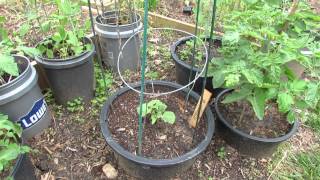 Small Space Container Gardening with 5 types of Vegetables  The Rusted Garden 2013 [upl. by Rubma]