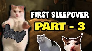 CAT MEMES FIRST SLEEPOVER PT 3 [upl. by Schiffman268]