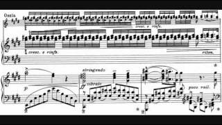 Liszt  Sonetto 104 del Petrarca S 161 No 5 André Laplante [upl. by Atilrep]