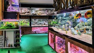 Epic Tour of the Most Interesting Fish Store  Unimati [upl. by Aurie962]