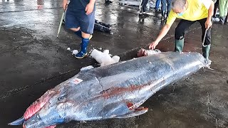 Worlds Sharpest Knife vs Giant Blue Marlin amp Bluefin Tuna  Cutting Skills Unleashed [upl. by Valleau]