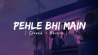 Pehle Bhi Main Slowed  Reverb  Vishal Mishra  Animal [upl. by Lancelle153]