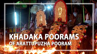 Khadaka Poorams  the pageantry of festivals of Arattupuzha Pooram [upl. by Bellamy388]