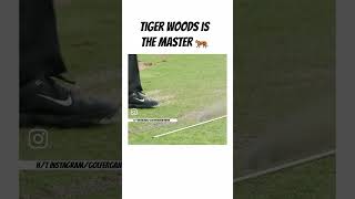 Tiger Woods puring everything in sight 🤤 [upl. by Noed467]