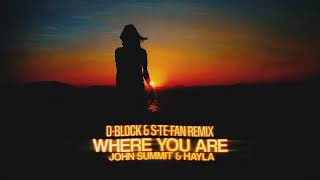 John Summit amp Hayla  Where You Are DBlock amp SteFan rmx Official Video [upl. by Eseuqram603]