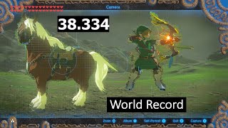 WR Mounted Archery Course 38334 Breath of the Wild [upl. by Gresham]