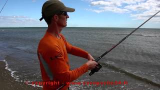 Pêche en surfcasting de la doradedaurade au Petit Travers à Carnon Europêche34 [upl. by Elicul]