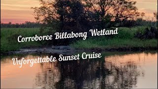 Corroboree Billabong Wetland Unforgettable Sunset Cruise [upl. by Auric280]