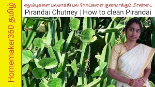 பசியை தூண்டும் பிரண்டை சட்னி  Pirandai Chutney in Tamil  Adamant Creeper [upl. by Anderer]