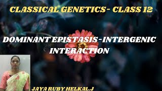 CLASSICAL GENETICS INTERGENIC INTERACTION DOMINANT EPISTASIS CLASS 12 [upl. by Guibert]