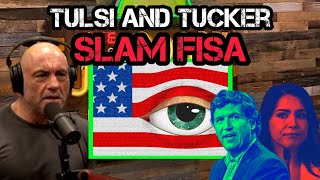 Joe Rogan SHOCKED by Tulsi Gabbard as She EXPOSES The Truth of FISA and The TikTok Ban [upl. by Stearne70]