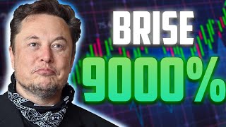 BRISE A 9000 IS FINALLY HERE  BITGERT MOST REALISTIC PRICE PREDICTIONS [upl. by Kashden]