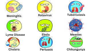 Every Major infectious Disease Explained [upl. by Kindig]