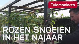 Rozen snoeien in het najaar hoe snoei je de klimroos  Tuinmanieren [upl. by Kcirderf]